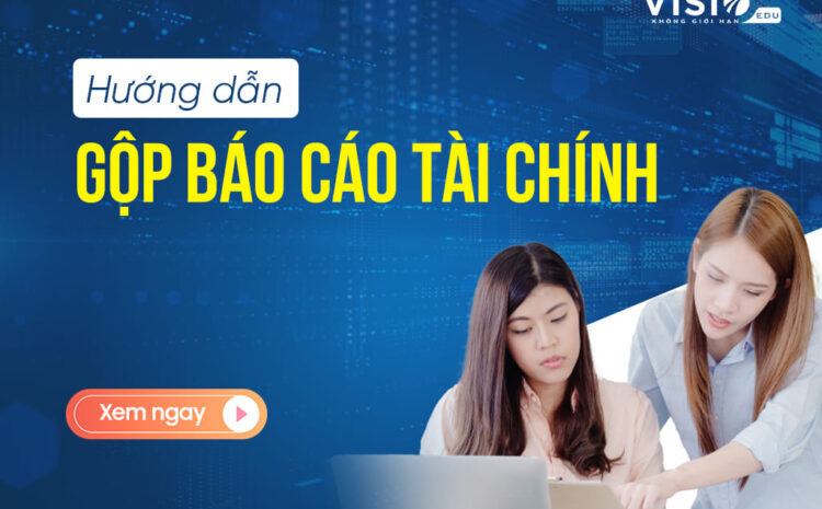  Hướng dẫn gộp báo cáo tài chính dành cho kế toán