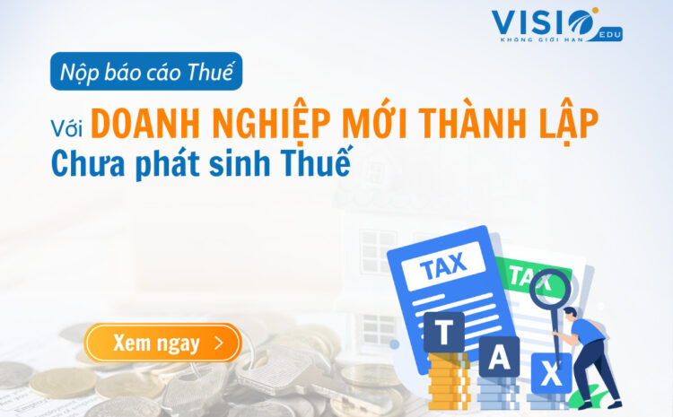  Doanh nghiệp mới thành lập chưa phát sinh thuế thì có cần phải nộp báo cáo thuế không?